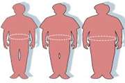 بررسی همبستگی شاخص¬های (ABSI) A Body Shape Index و (BRI) The Body Roundness Index با میزان چربی احشایی(Visceral Adipose) در سالمندان 60 ساله و بالاتر برنامه سلامت سالمندان بوشهر